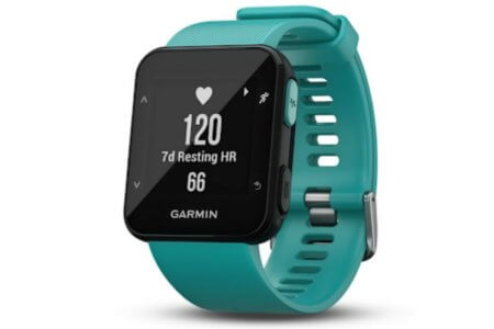 garmin forerunner 30