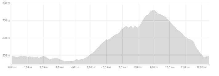 altimetria Runner 451 Summer Race